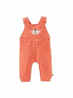 Coupon 🧨 Bekleidung Bornino 2-tlg. Set Latzhose Und 👚 Shirt Gepard In Orange Günstig Kaufen 🧨 -Günstiges bornino Geschäft bornino 2 tlg set latzhose und shirt gepard in orange 3