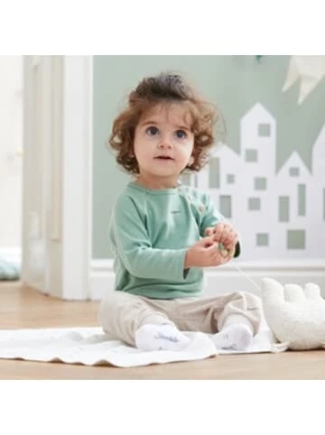 Bester Verkauf 💯 Bekleidung Bornino Raglanshirt Langarm In Grün Günstig Kaufen ⌛ 7 Bester Verkauf 💯 Bekleidung Bornino Raglanshirt Langarm In Grün Günstig Kaufen ⌛ – Bild 5