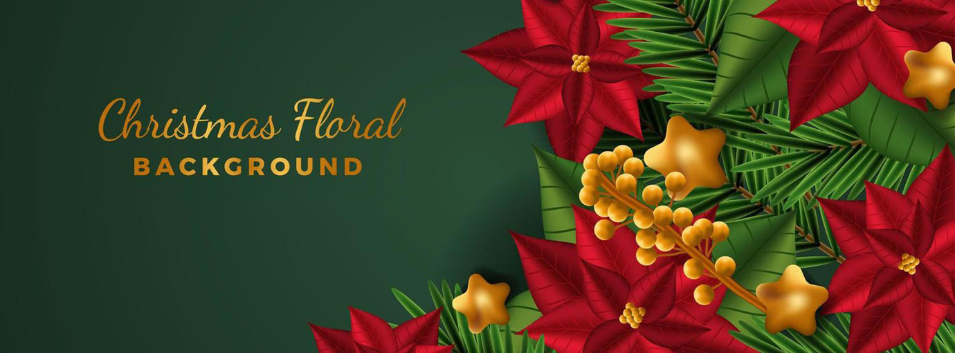 Günstiges bornino Geschäft 1 Günstiges bornino Geschäft -Günstiges bornino Geschäft 120 1